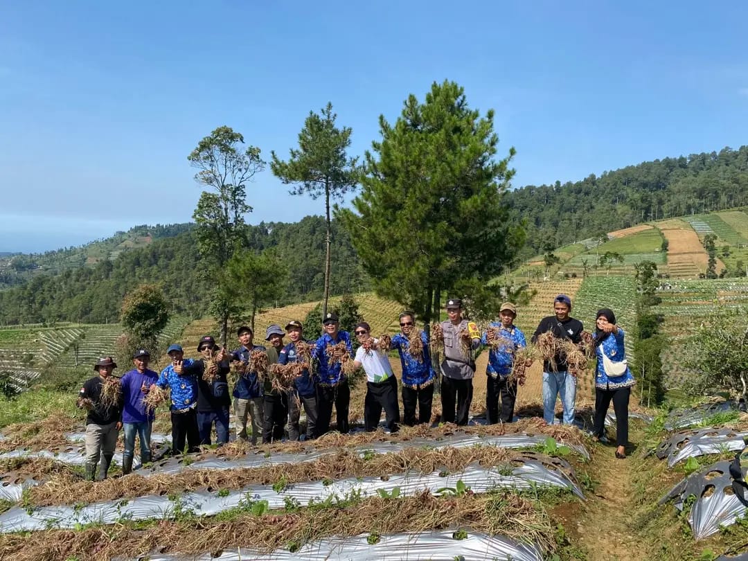 Gambar Berita