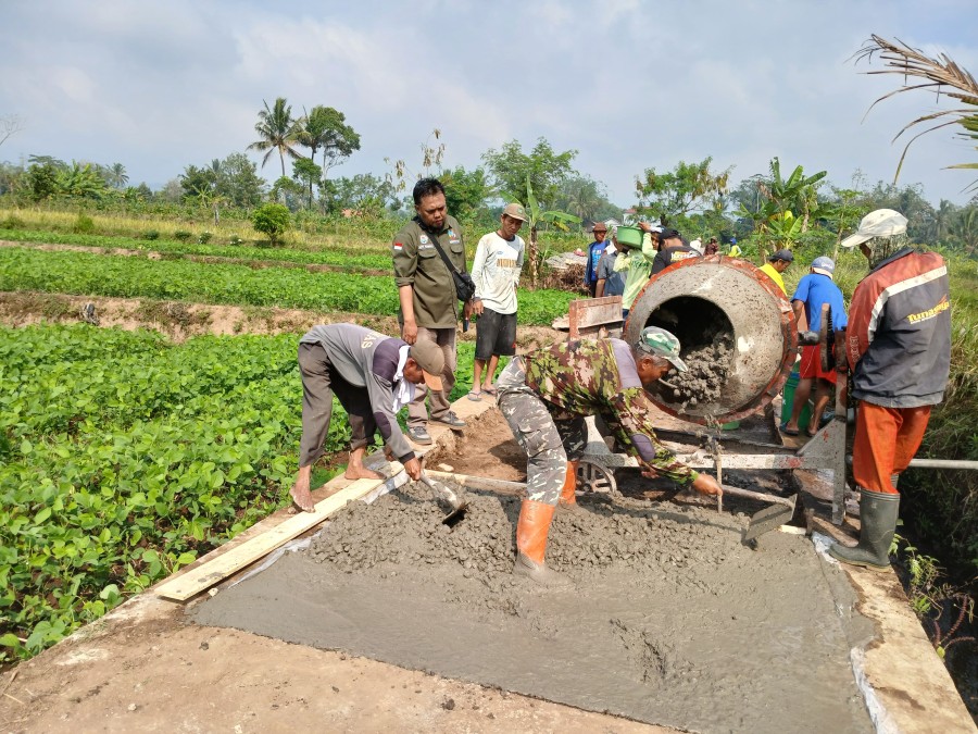Gambar Berita