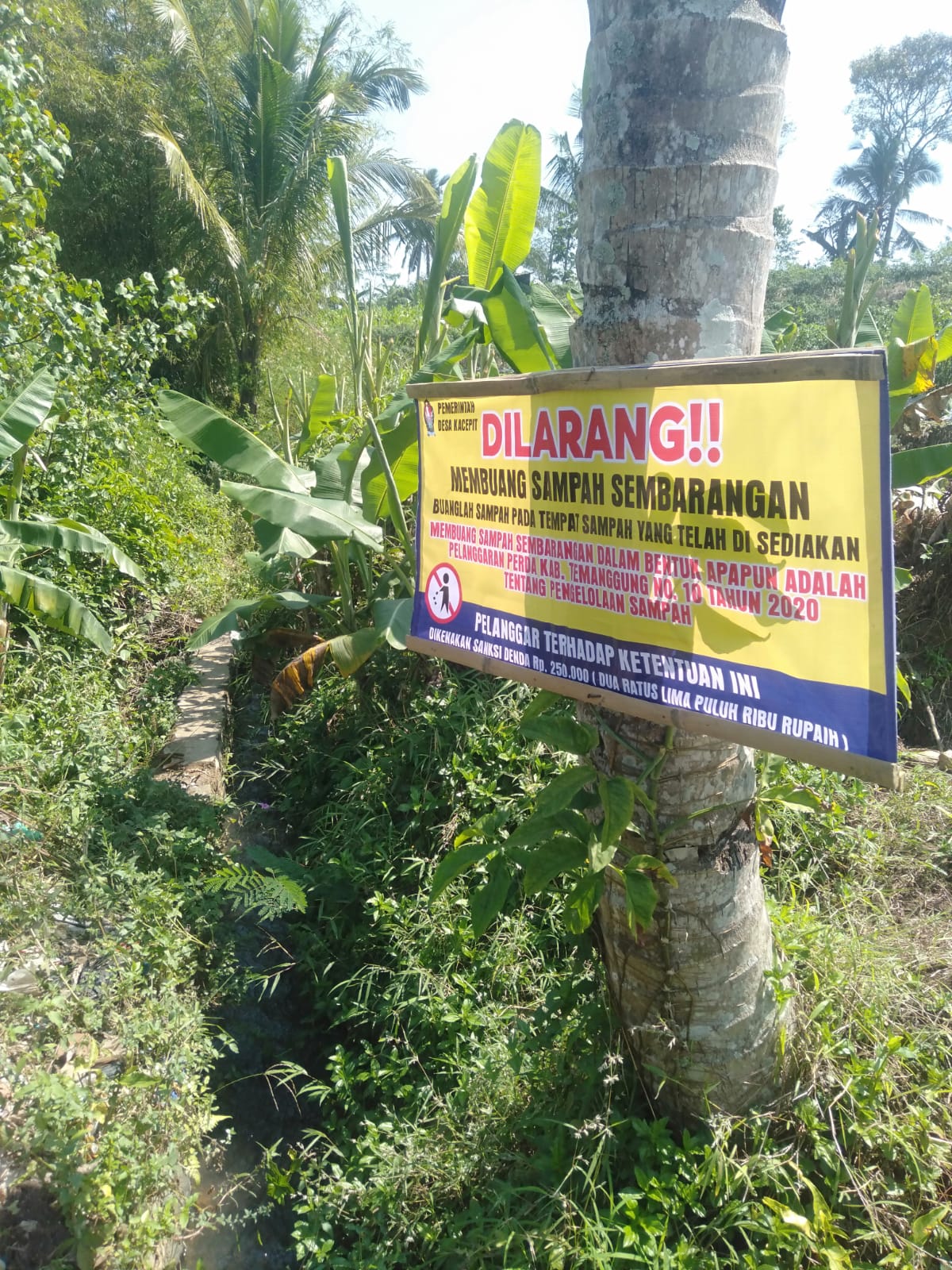 Gambar Berita