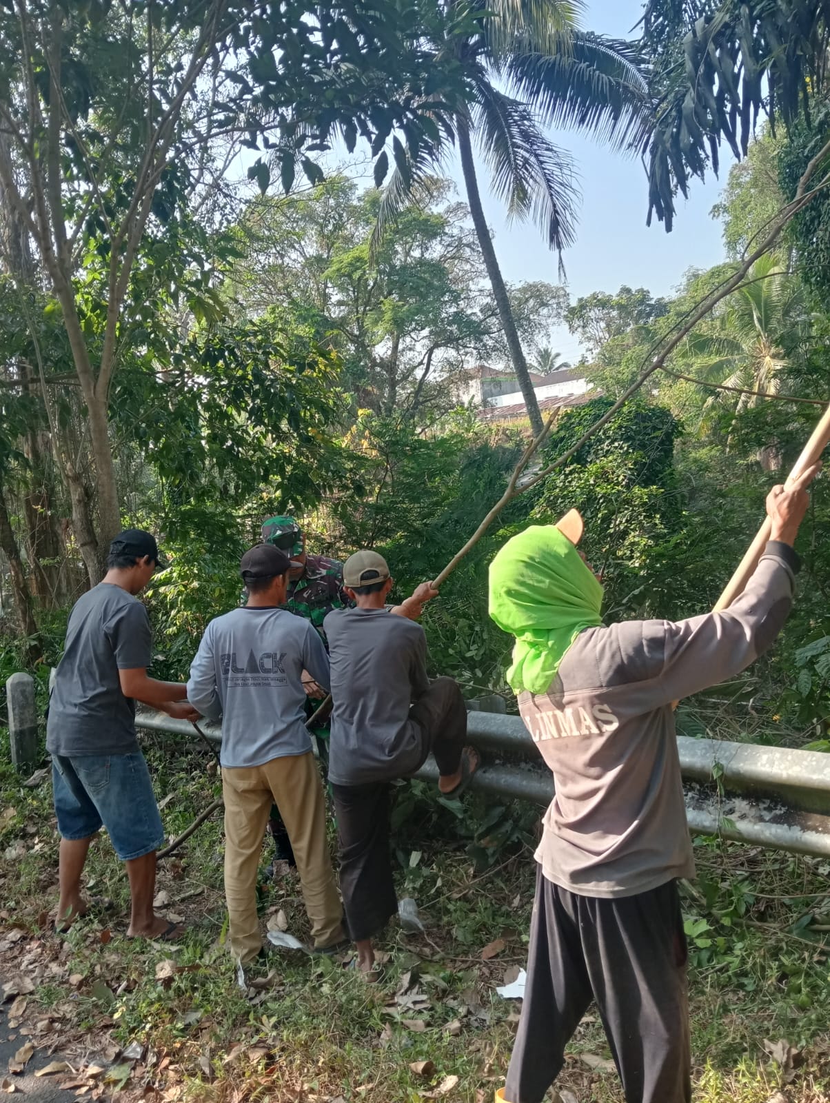 Gambar Berita